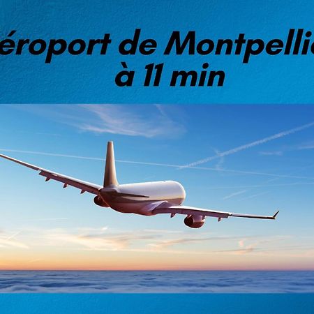 T3 Somptuosa 1 Ere Ligne Vue Mer Palavas Exteriér fotografie